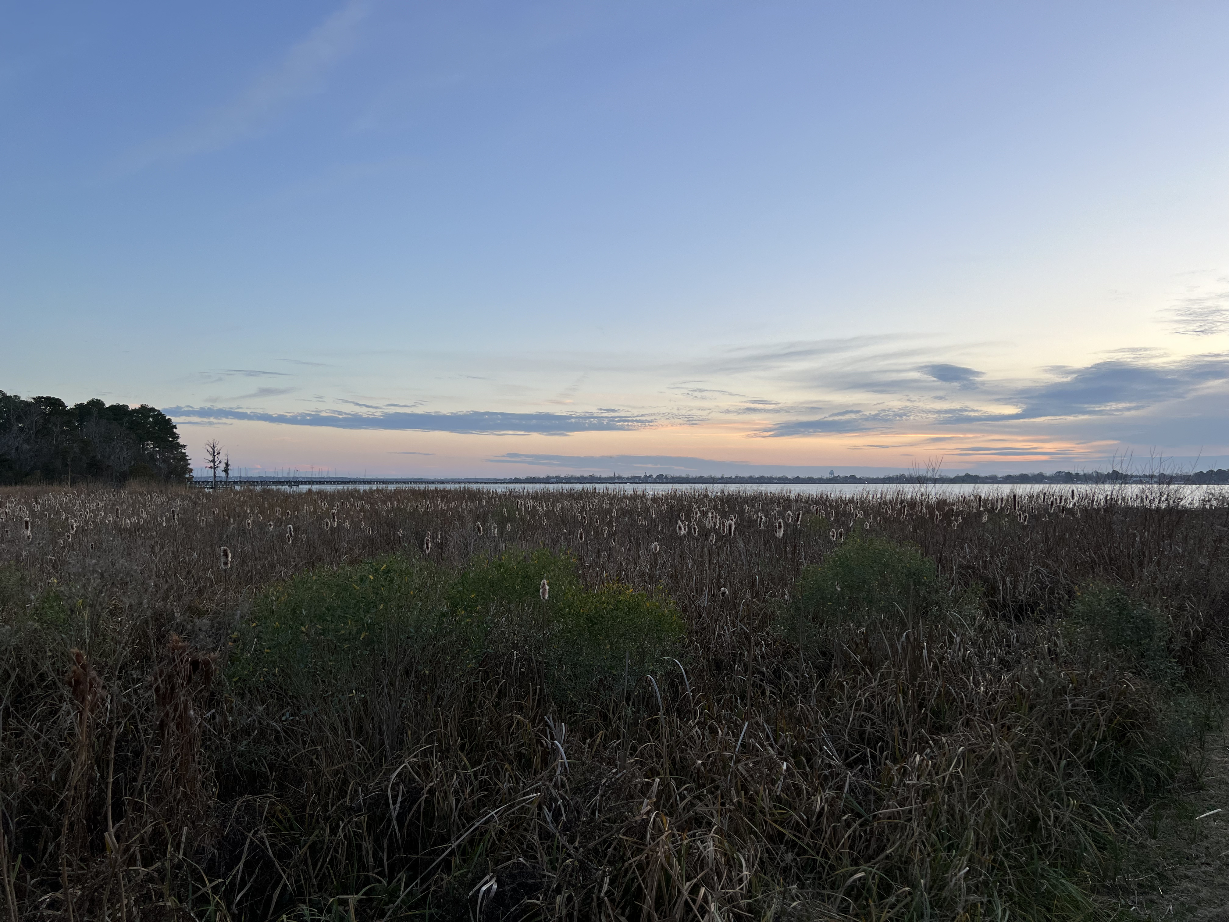 ./2024/01 - New Bern/IMG_0733.jpg